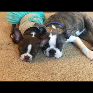 Meet your Posher, Deysi